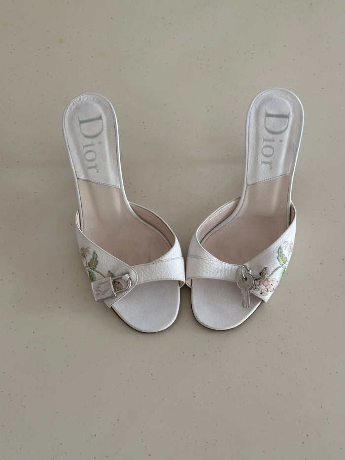 Dior Heels (38)