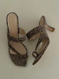 Stuart W. Heels (41)