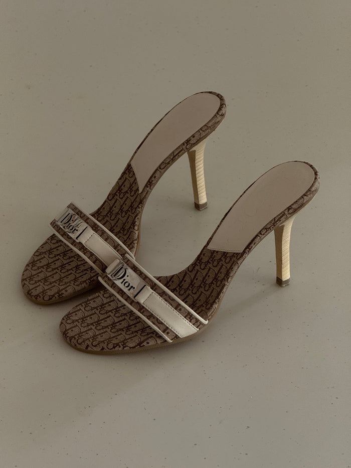 Dior Heels (36,5)