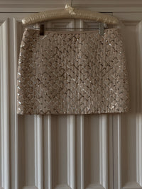Sequined Mini Skirt (s)