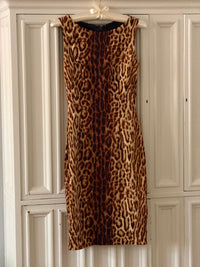 Escada Leo Dress (xs)