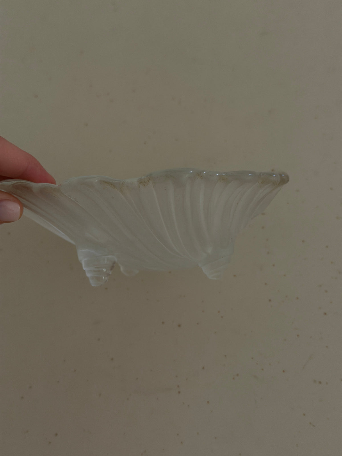 Vintage Shell Dish