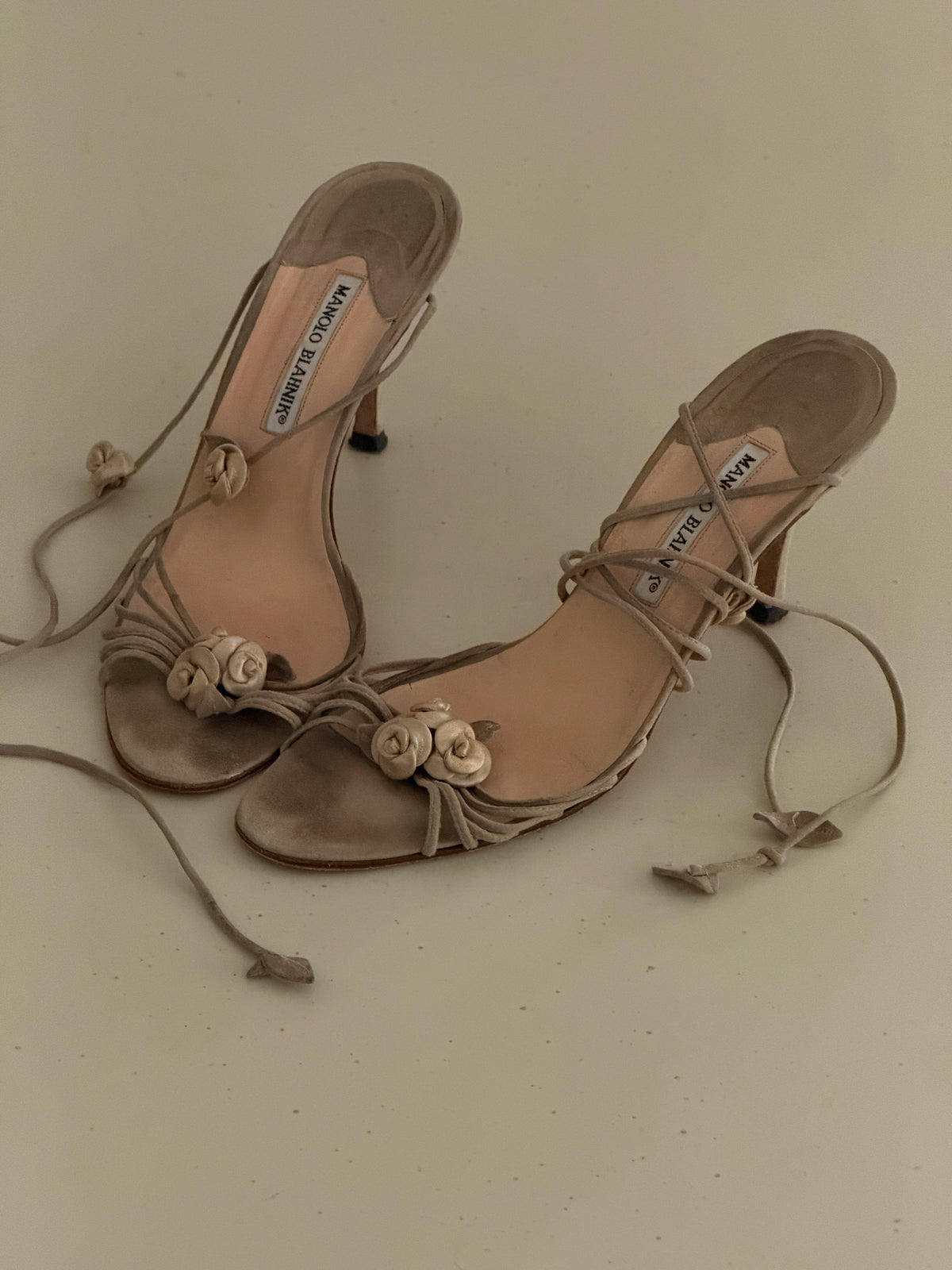 Manolo Blahnik Heels (40,5)