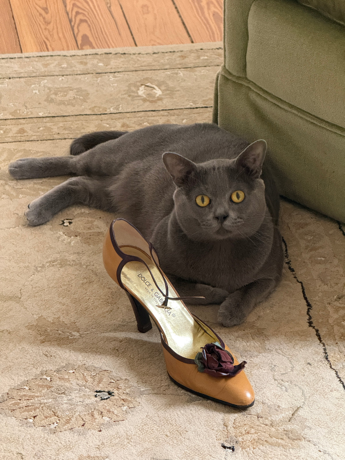 D&G Floral Heels (37)