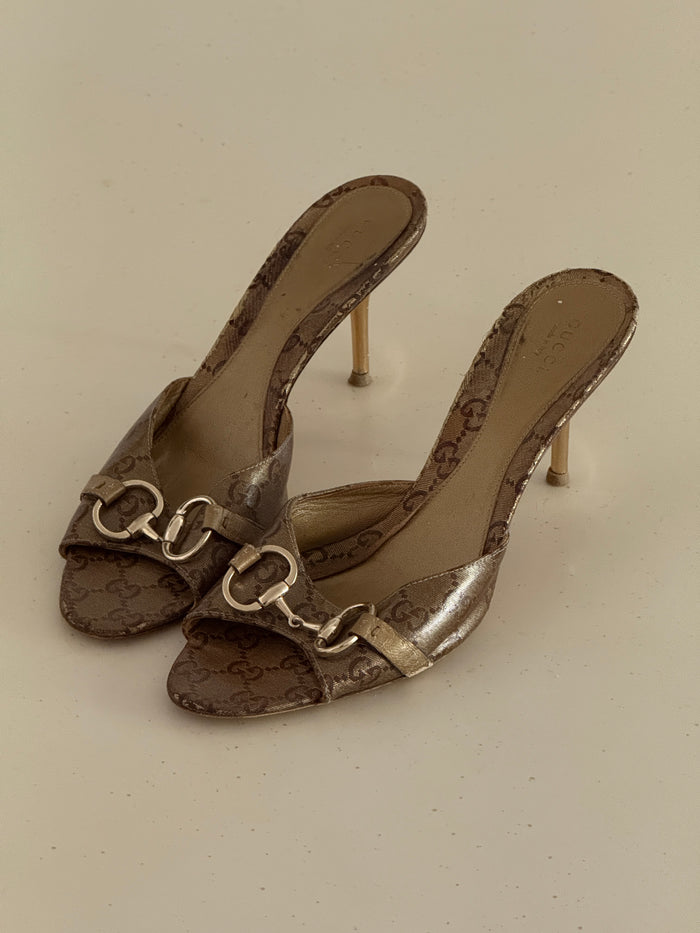 Gucci Mules (41)