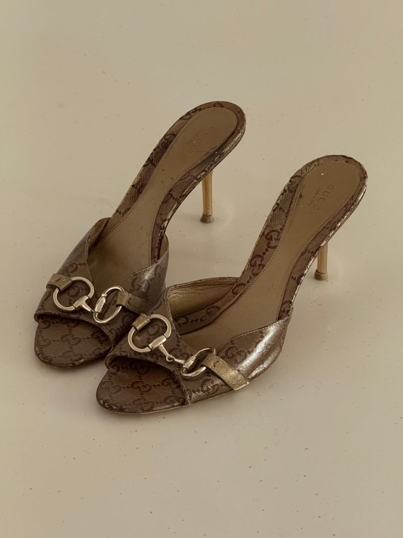 Gucci Mules (41)