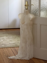 Lace Lingerie Dress (s)