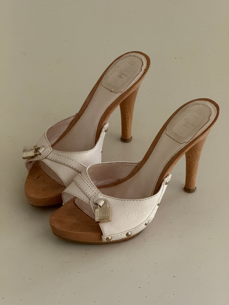 Dior Clogs (37)