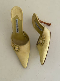 Manolo Blahnik Heels (40)