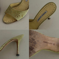 Manolo Blahnik Heels (39)