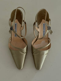 Manolo Blahnik Heels (36)