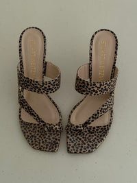 Stuart W. Heels (41)