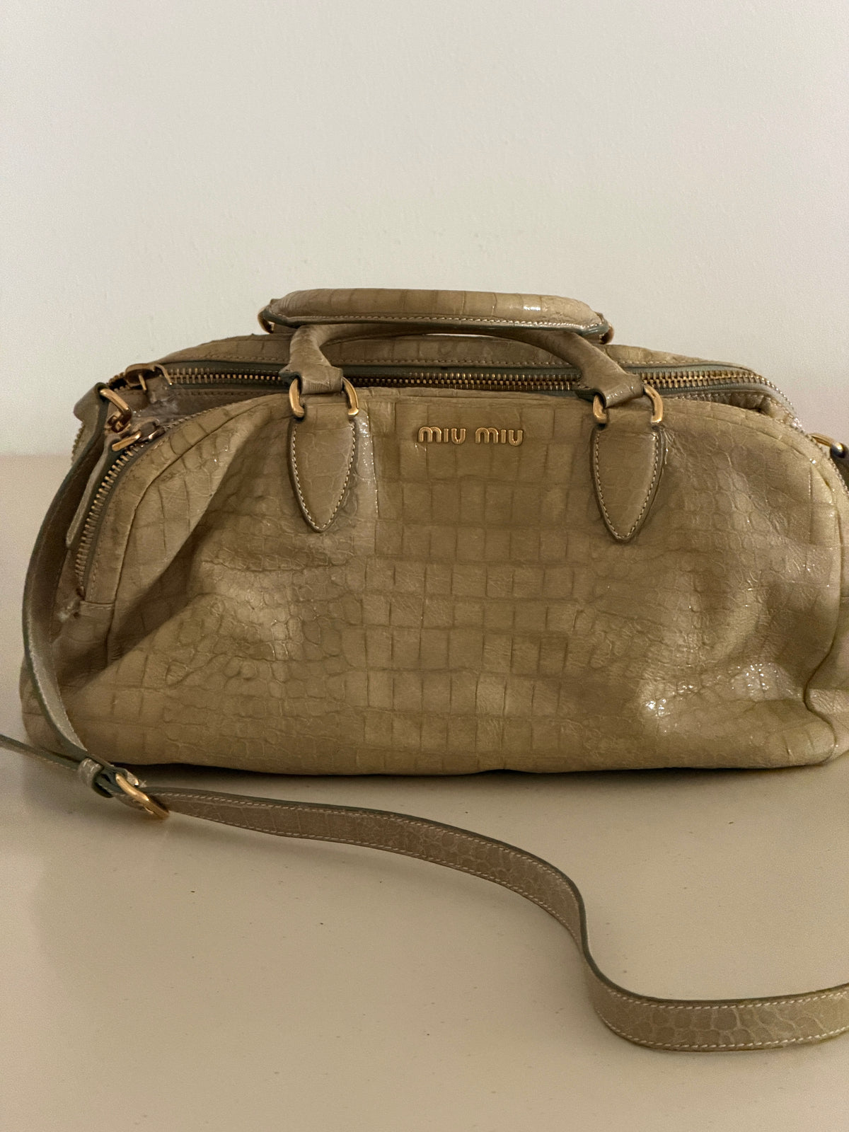 Miu Miu Croco Bag