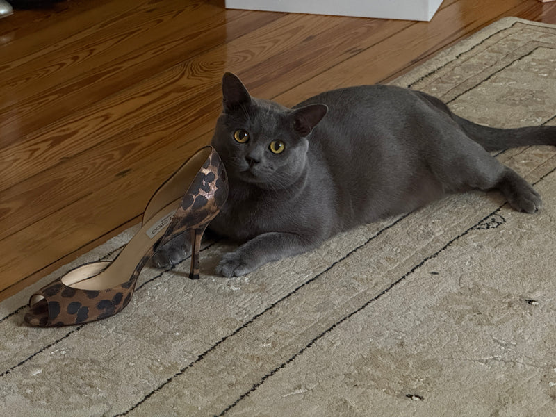 Jimmy Choo Heels (40,5)