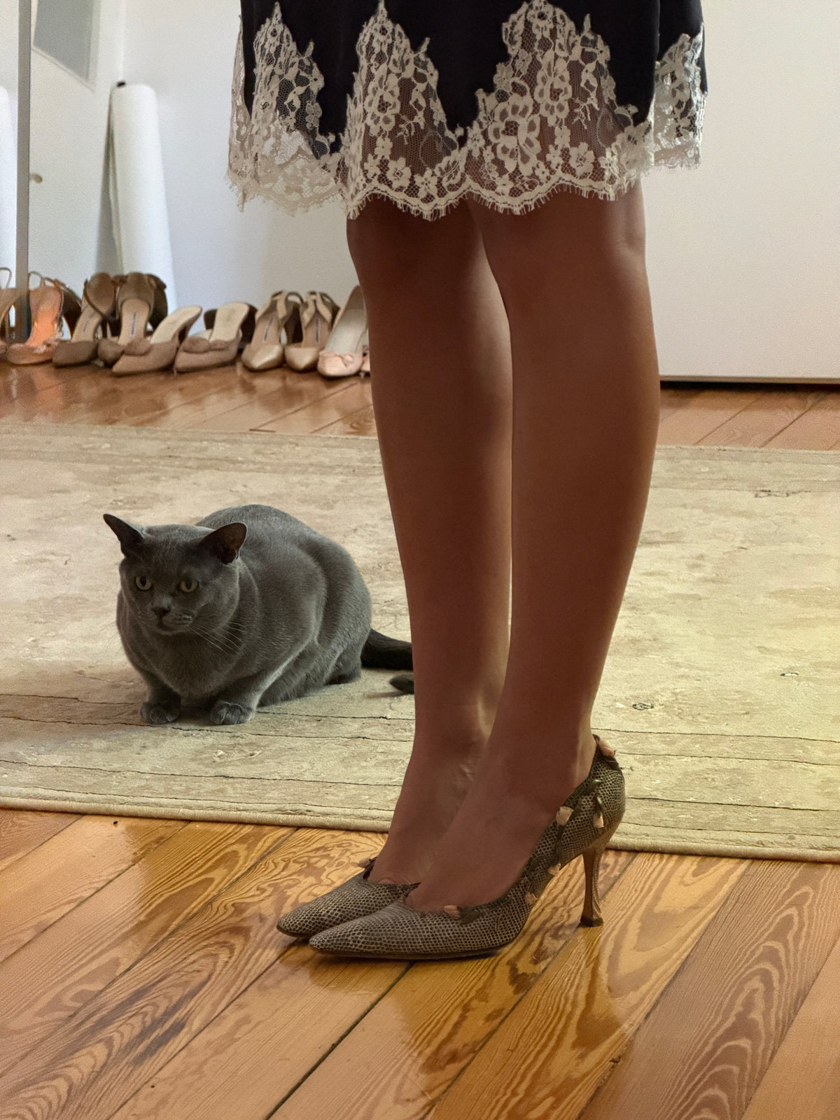 René Caovilla Heels (38)