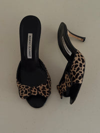 Manolo Blahnik Heels (36)