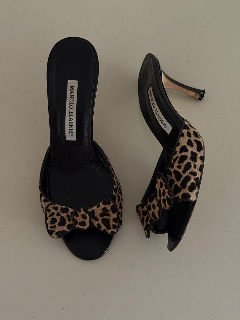 Manolo Blahnik Heels (36)