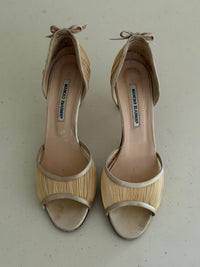 Manolo Blahnik Heels (40,5)