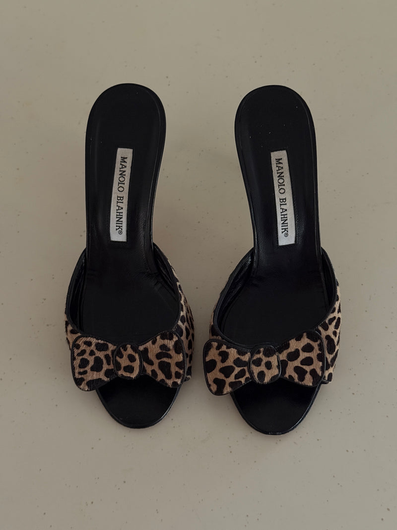 Manolo Blahnik Heels (36)