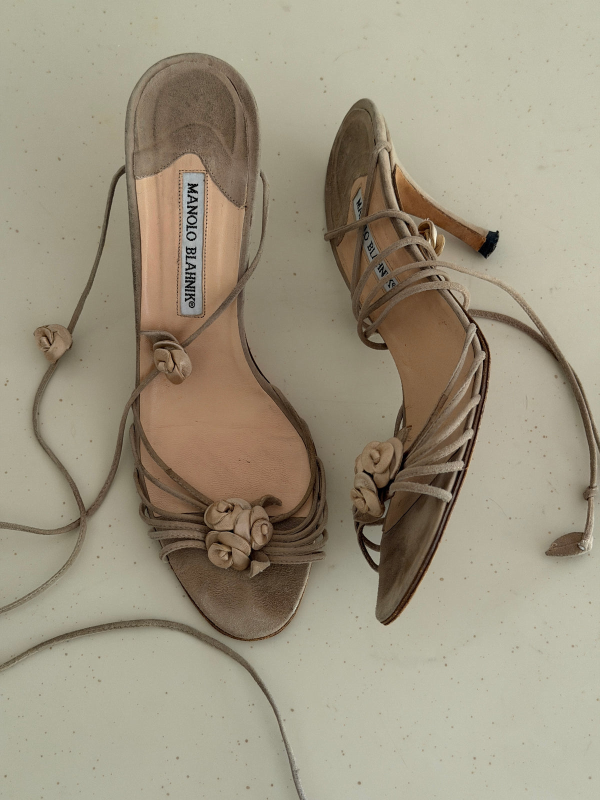Manolo Blahnik Heels (40,5)