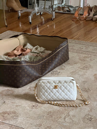 Louis Vuitton Suitcase