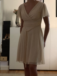 Vintage Mesh Dress (s)