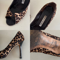 Manolo Blahnik Heels (39)