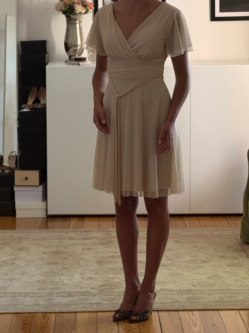 Vintage Mesh Dress (s)