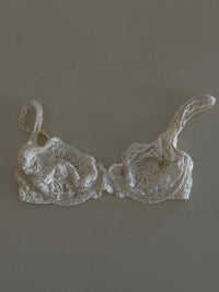 Dior Bra (75 C)