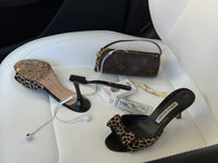 Louis Vuitton Mini Papillon