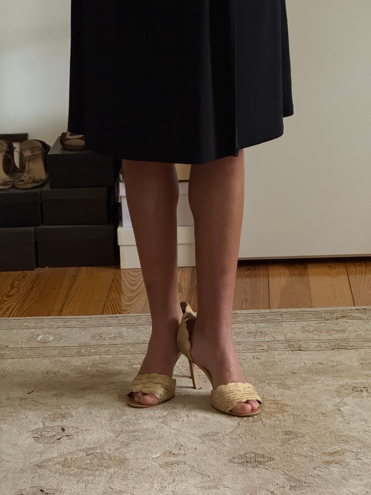 Manolo Blahnik Heels (40,5)