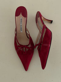Manolo Blahnik Heels (38)