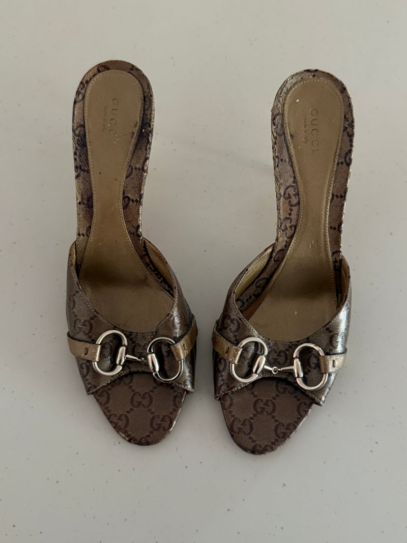 Gucci Mules (41)