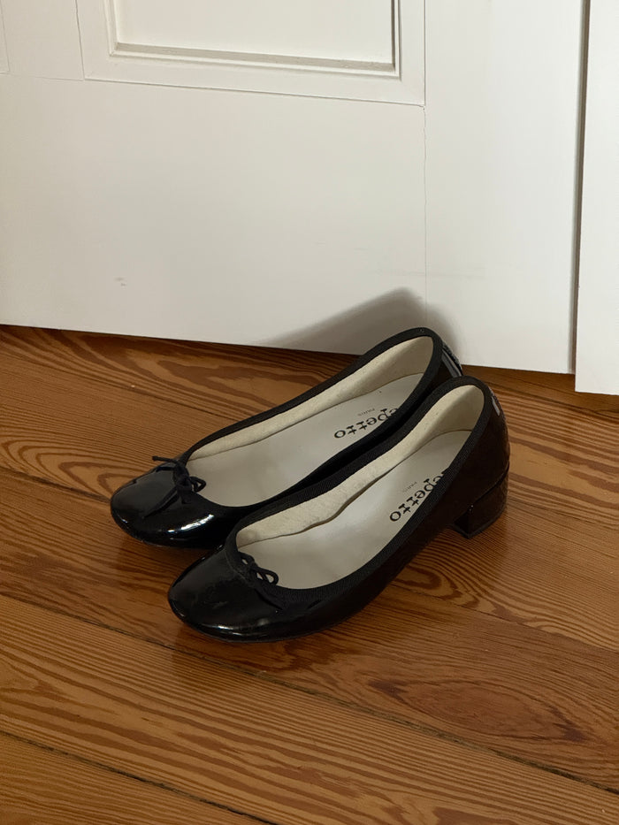 Repetto Ballet Flats (37)