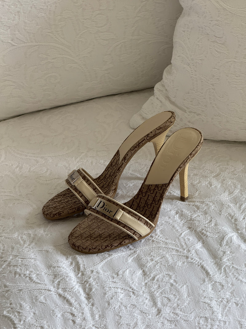 Dior Heels (36,5)