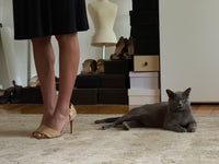 Manolo Blahnik Heels (40,5)