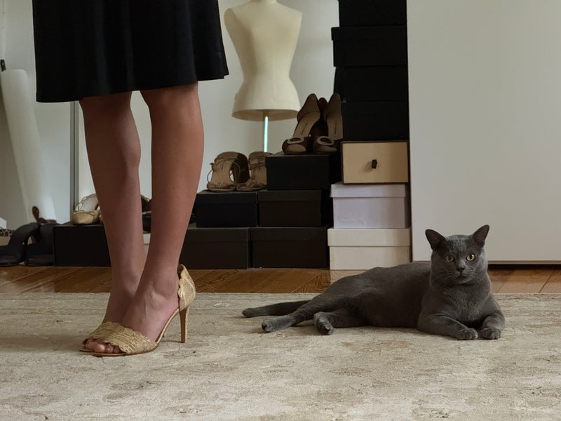 Manolo Blahnik Heels (40,5)