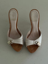 Dior Clogs (37)