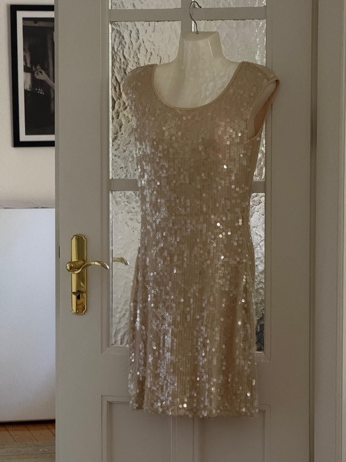 Max & Co. Sequin Dress (s)
