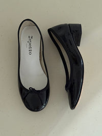 Repetto Ballet Flats (37)