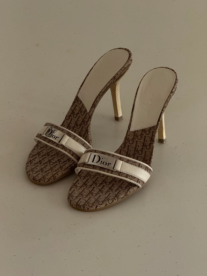 Dior Heels (36,5)