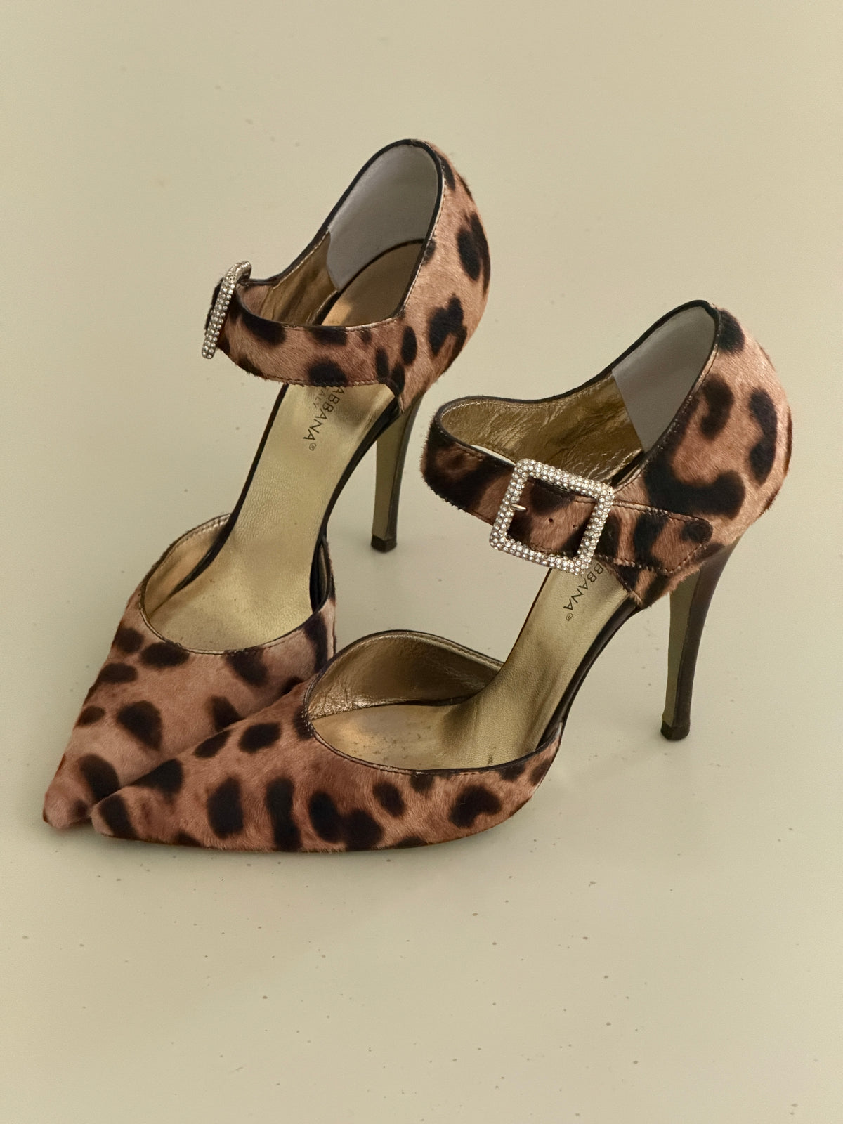 D&G Leo Heels (37)