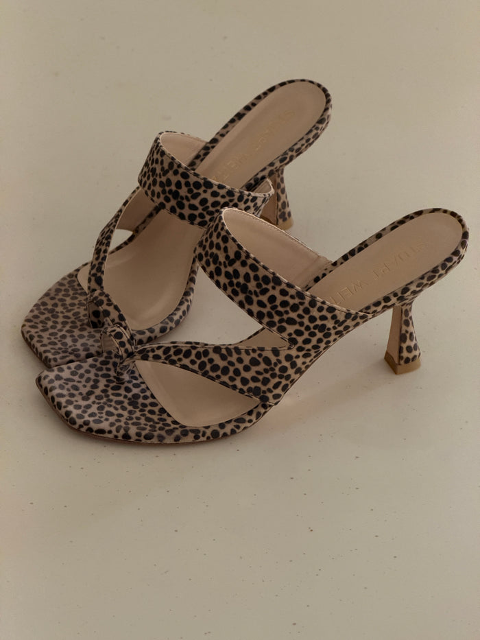 Stuart W. Heels (41)
