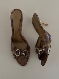 Gucci Mules (41)