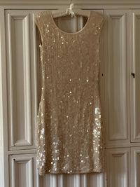 Max & Co. Sequin Dress (s)