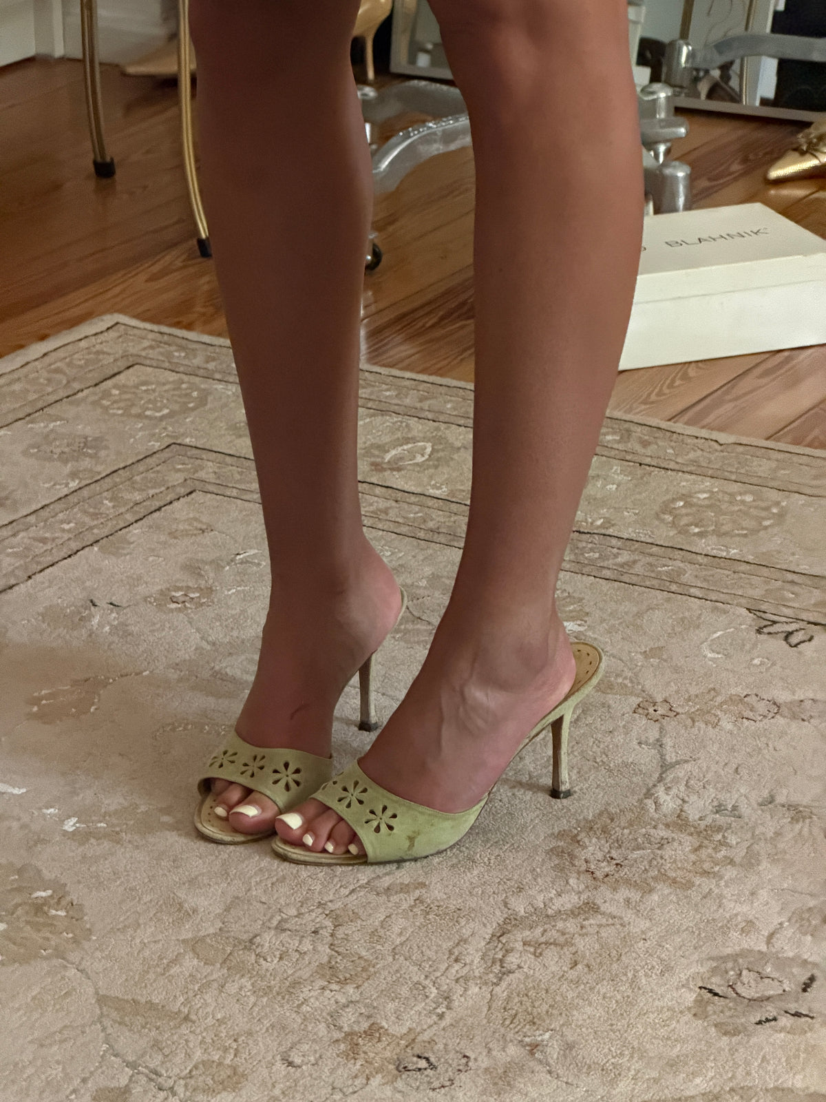 Manolo Blahnik Heels (39)