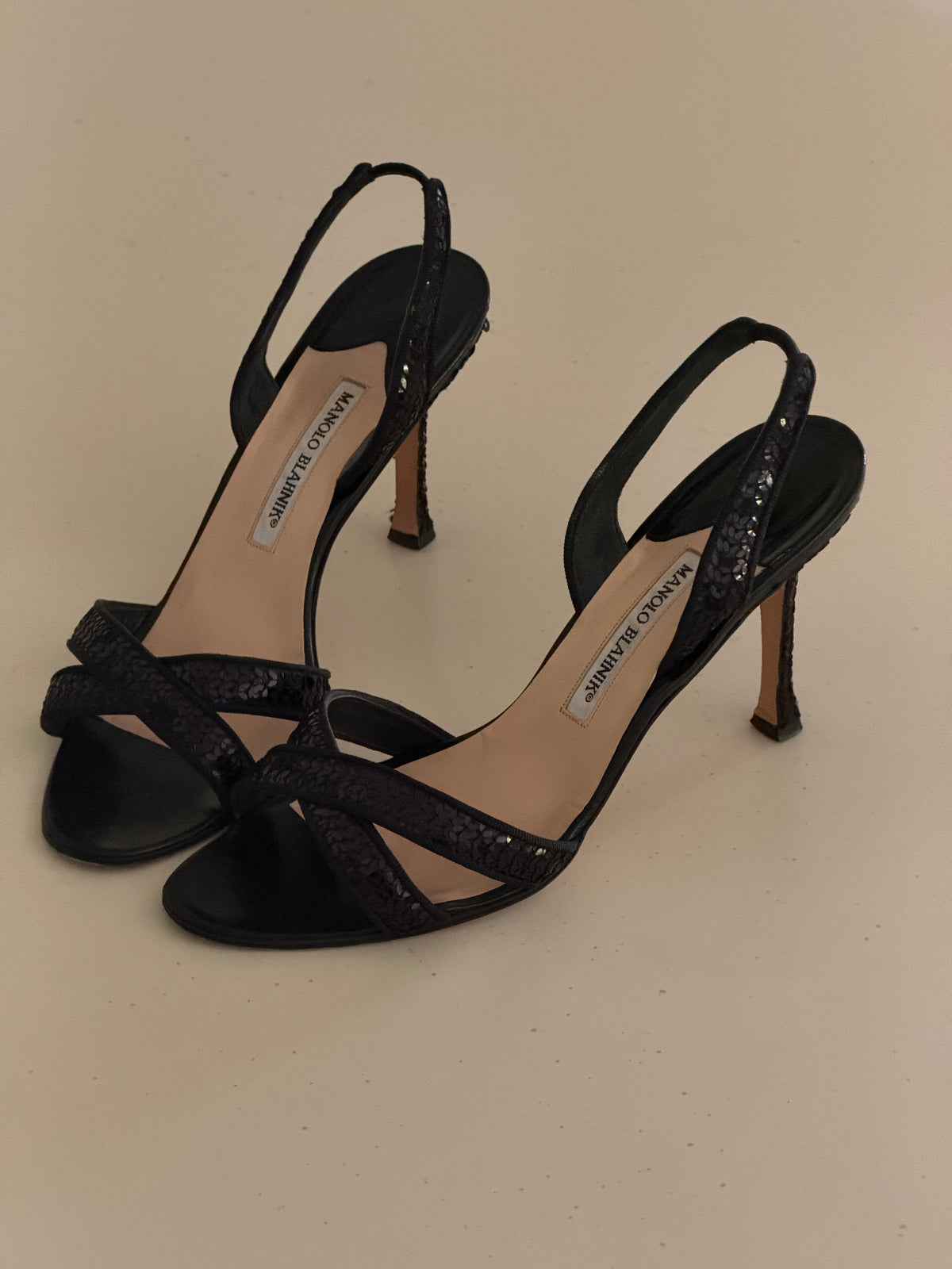 Manolo Blahnik Heels (40,5)
