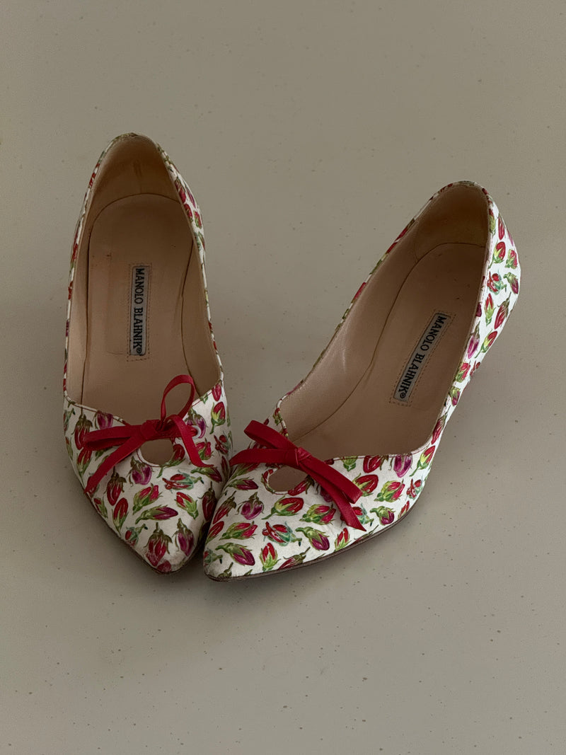 Manolo Blahnik Heels (37)